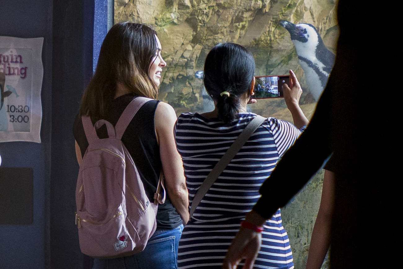 Megan_Fox_enjoys_a_day_out_at_The_Audubon_Aquarium_of_the_Americas_with_her_friends_in_Louisiana_-_May_900007.jpg
